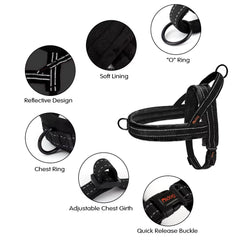 Didog reflective lines on straps boost visibility during night walks.