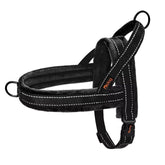 Didog soft flannel padded vest harness shown on dog for comfort and control during walks