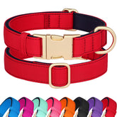 Didog soft padded collar in rose-purple for daily walks with breathable comfort