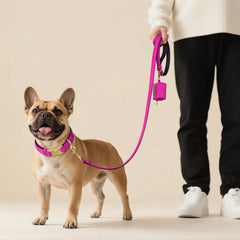 Didog quick-release buckle on large dog collar for easy on/off