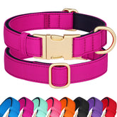 Didog soft padded collar for large dogs with rose purple buckle for comfort