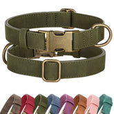 Didog soft PU leather collar in dark green on a small dog during daily walks.