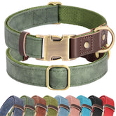 Didog soft PU leather dog collar in green with XL neck 20-27 inches, ideal for large dogs