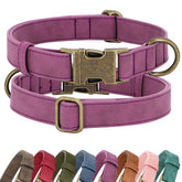 Didog soft PU leather dog collar in purple for 14-18 inch necks, comfortable all-day wear.