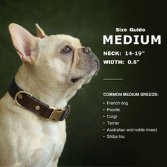 Didog quick-release buckle on a soft PU leather collar enables easy on/off