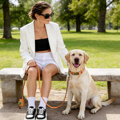 Didog collar quick release buckle eases on and off during walks