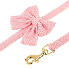 Didog soft-velvet-mesh keeps pets dry and breathable.