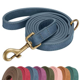 Didog stylish PU leather dog leash in blue for comfortable walks