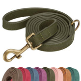 Didog stylish PU leather leash in dark green for secure daily walks.