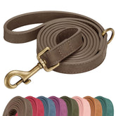 Didog stylish PU leather leash in brown for chic daily walks.