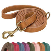 Didog PU leather leash close-up shows texture and premium finish for stylish walks