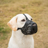 Diketone large black silicone muzzle closeup shows breathable comfort