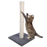 Dimaka cat scratching post with blue base for durable play and claw maintenance