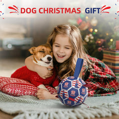 Diman dog toy soccer ball outdoor play with hexagon texture for grip.