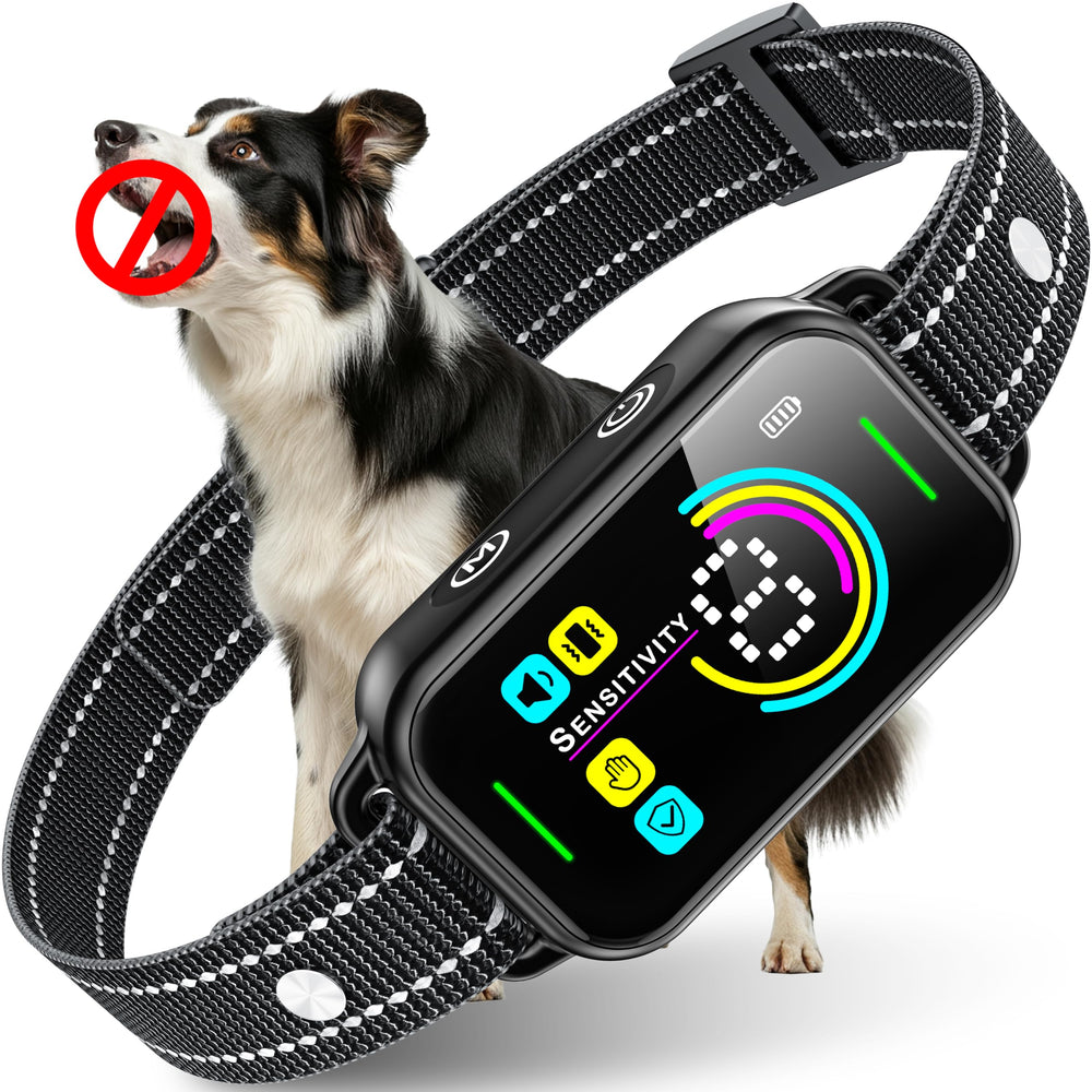 Dinjoo Smart Bark Collar front view shows compact design for daily wear.