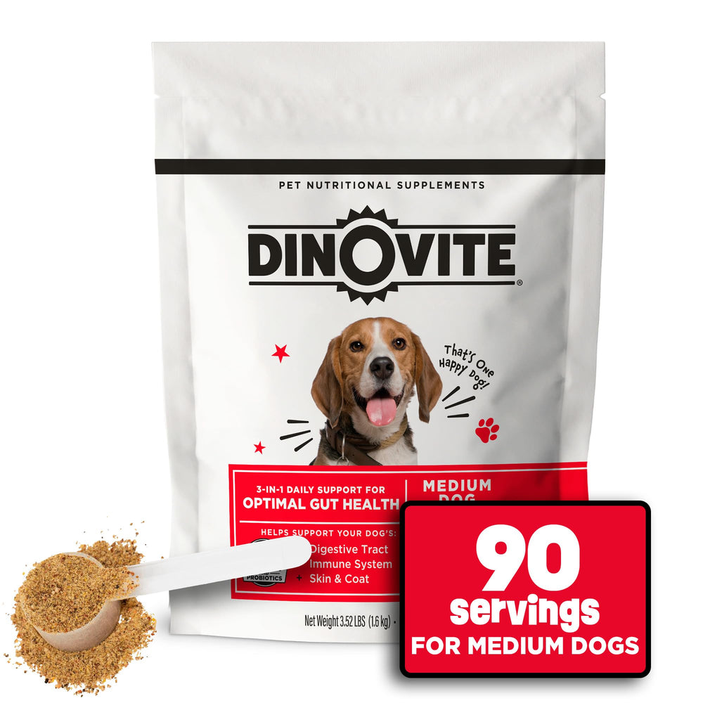 Dinovite 3 in 1 probiotic bottle pour supports gut health and digestion