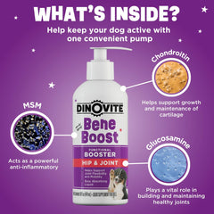 Dinovite BeneBoost dog eating bowl shows bacon-flavored topper improving meal appeal.