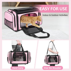 Discala collapsible pet carrier folded for compact storage