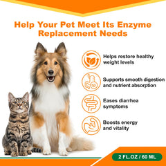 diytoolsman Pancreatic Enzymes for Dogs dropper administration makes dosing simple