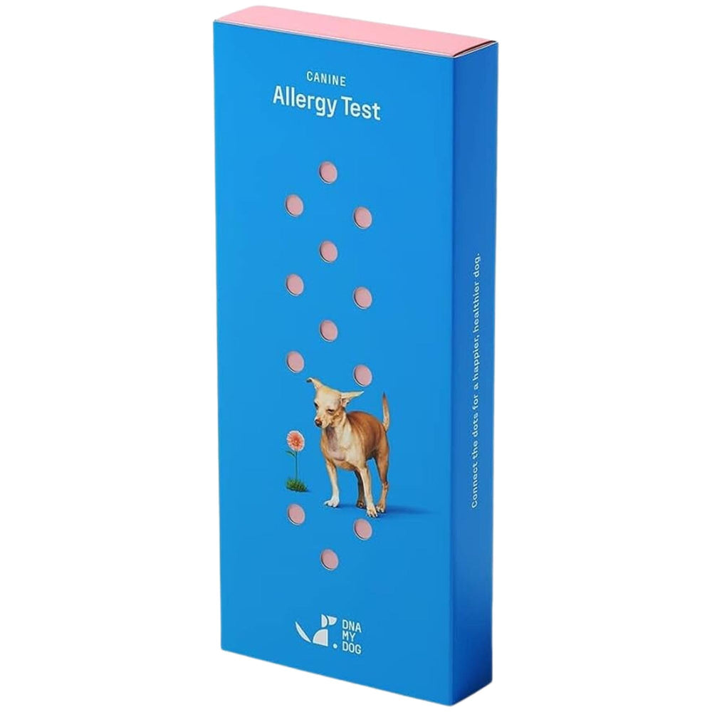DNA MY DOG cheek swab sample collection for quick, painless allergy insights at home.