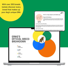 DNA MY DOG downloadable DNA certificate with breed results.