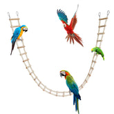 Dnoifne bird ladder bridge with wooden stairs for engaging bird play