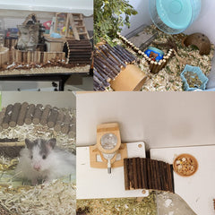 Dnoifne reptile habitat decor adds natural style and enrichment.