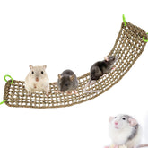 Dnoifne rat climbing mat hammock in seagrass provides a roomy perch for small pets.