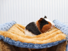 Dnoifne fleece winter rat hammock mounted in cage for easy installation