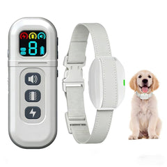 DOBE small-lightweight-collar shown for comfortable daily wear during walks