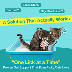 Doctor By Cat Biome lickable serving for easy digestive care.