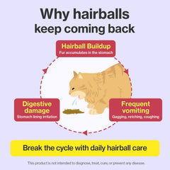 Doctor By HB Care Step One fiber blend supports fur binding.