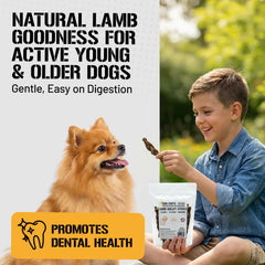 Dog Chits Lamb Esophagus Chews ingredients label natural single-ingredient snack