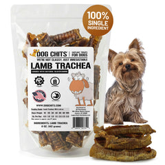 Dog Chits Lamb Trachea chew closeup shows natural texture for long-lasting chewing.