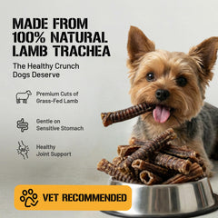 Dog Chits Lamb Trachea packaging label highlights natural ingredients and single-ingredient format.