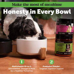 Dog enjoying probiotic powder topping; supports digestion when added to meals.