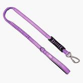 Dog Friendly Co Bungee leash purple close-control for steady walks