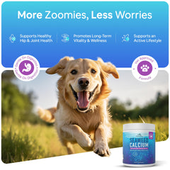 Dog Greens Seaweed Calcium wide-mouth jar for easy measuring and serving.