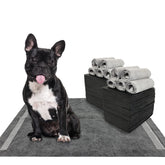 Dogcator charcoal pads with six-layer absorption for quick potty care.