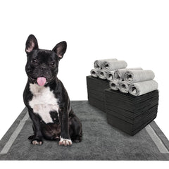 Dogcator charcoal pads with six-layer absorption for quick potty care.