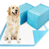 Dogcator heavy absorbent pad with thick core ideal for indoor training.