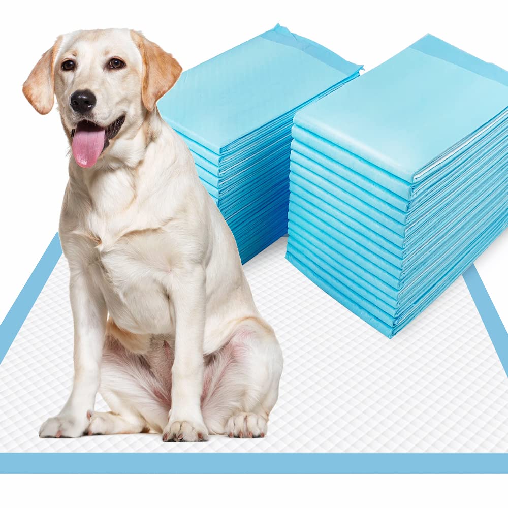 Dogcator XL Puppy Pads packaging shows a 40-count box for easy home use.