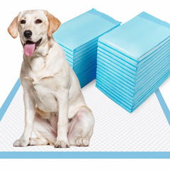 Dogcator XL Puppy Pads packaging shows a 40-count box for easy home use.