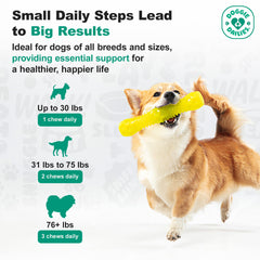 Doggie Dailies advanced senior hip joint chews packaging displayed for easy shopping