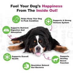Packaging of Doggie Dailies probiotics showing duck-flavored chews for daily digestion support