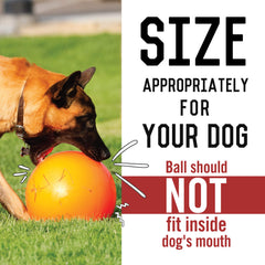 Doggie Dooley 8-inch blue ball suited for yard herding play.