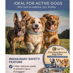 Doggy's Dinner safety release collar disengages if snagged during adventures.