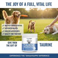 DoggySupps Taurine in dog bowl during mealtime suggests vitality.