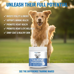 DoggySupps Taurine powder dispensing into dog food supports energy.