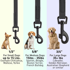Close-up of Dogline leash swivel clip preventing twisting